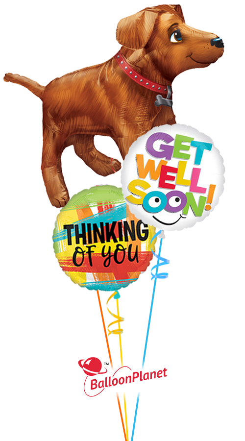 Gold Dog Thinking of You (3 Balloons)