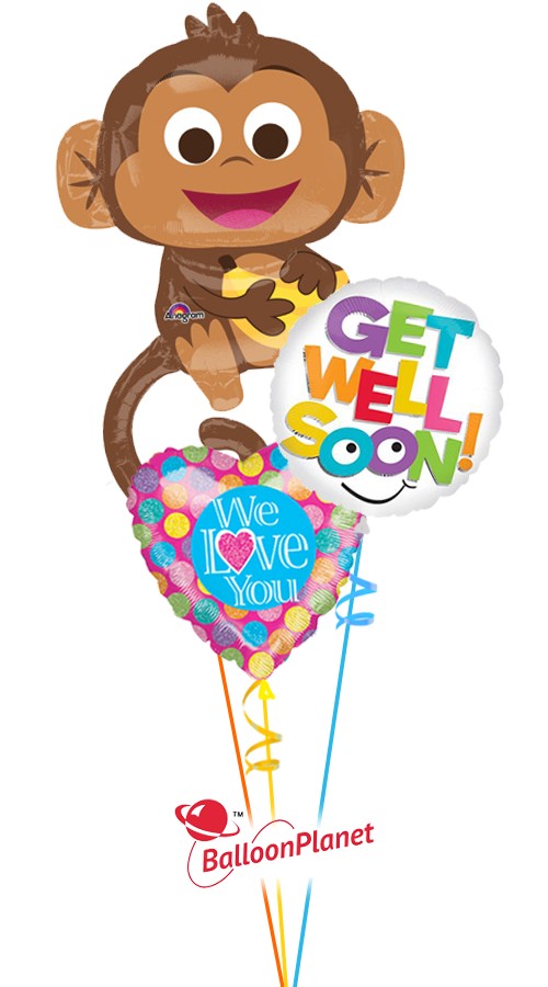 Hang in There Happy Monkey We Love You (3 Balloons)